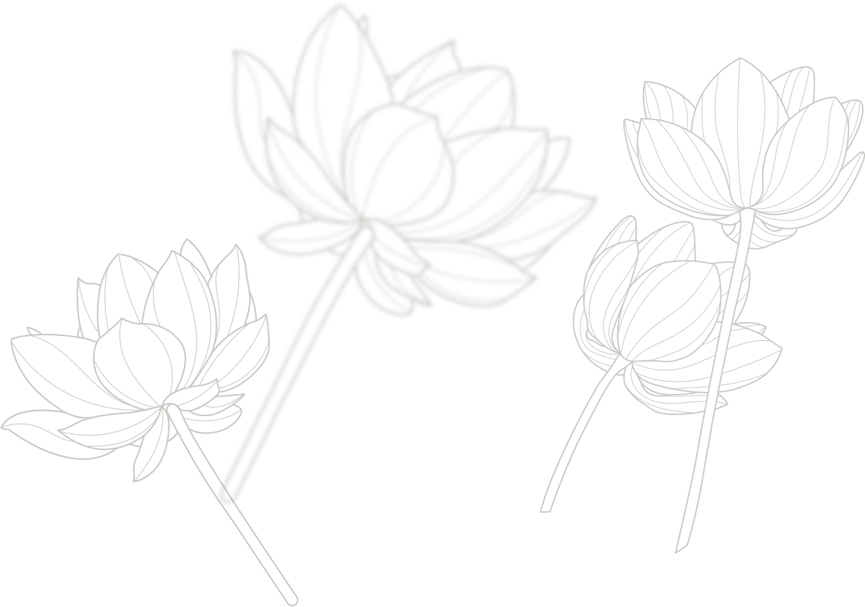 Black Lotus Thai masszázs Budapest 11. kerület