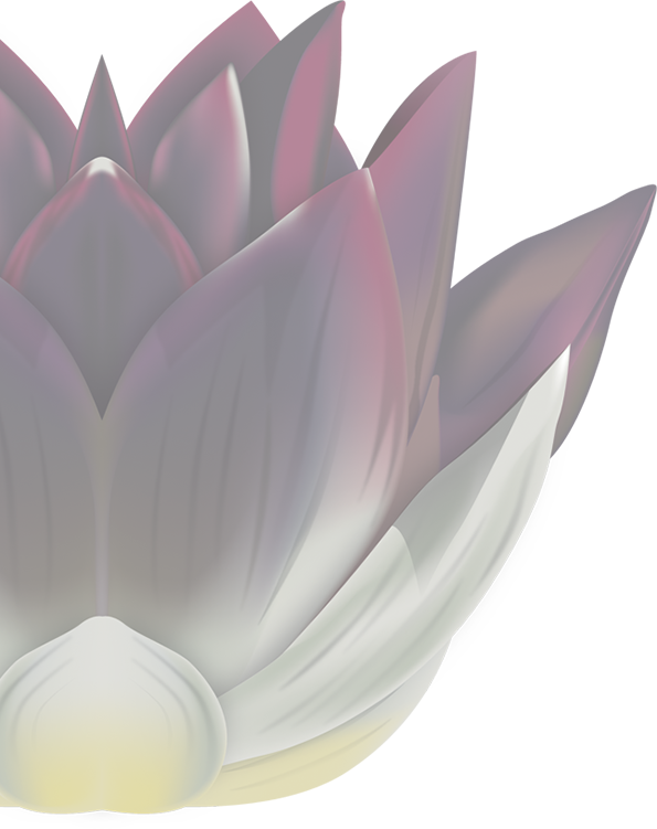 Black Lotus Thai Masszázs Szalon Budapest